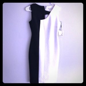 Calvin Klein White and Black Dress
